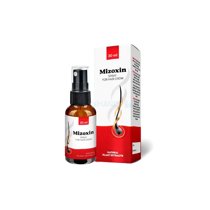 ⪦ Mizoxin - hair restoration product