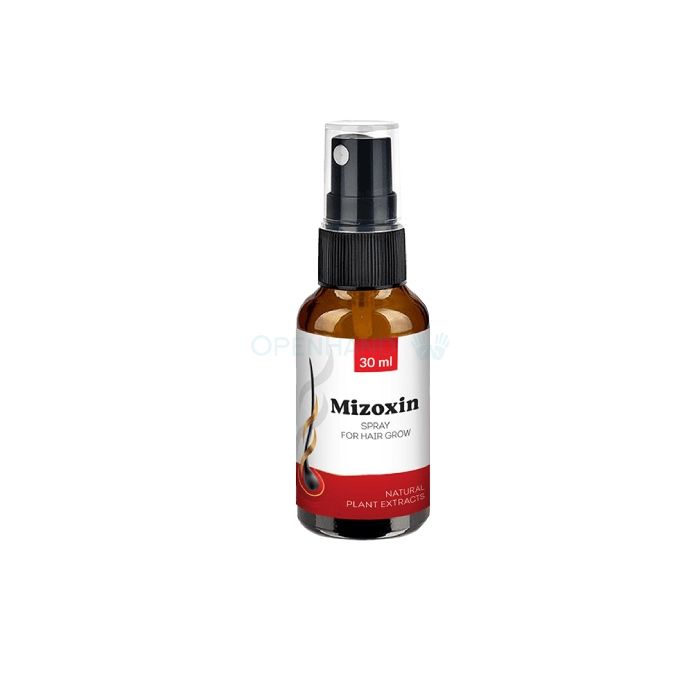 ⪦ Mizoxin - hair restoration product