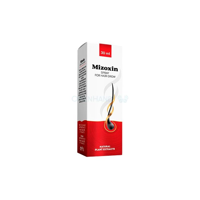 ⪦ Mizoxin - hair restoration product