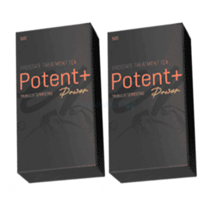 ⪦ Potent Plus - Prostata-Gesundheitsprodukt