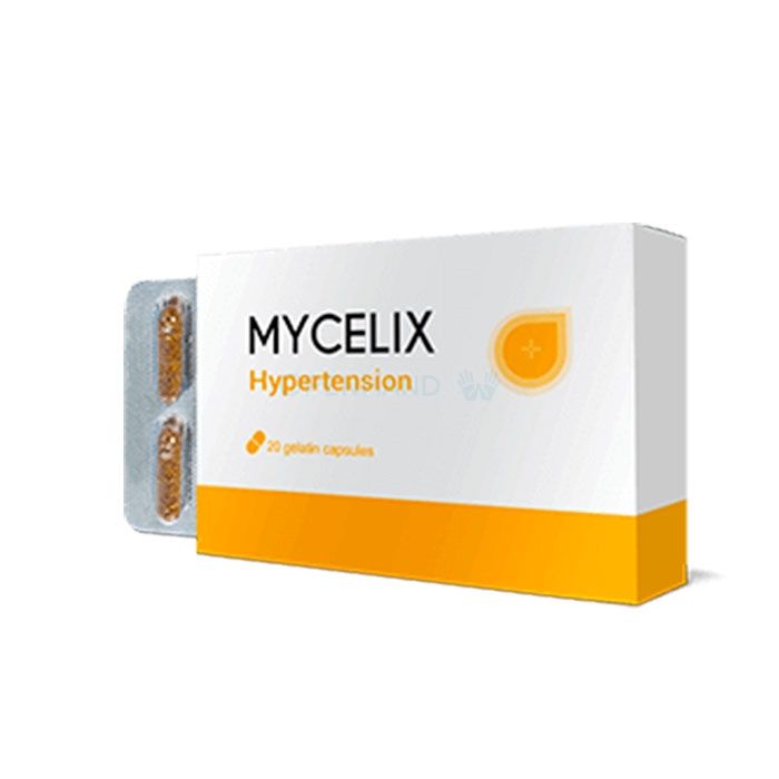 ⪦ Mycelix - remediu pentru hipertensiune